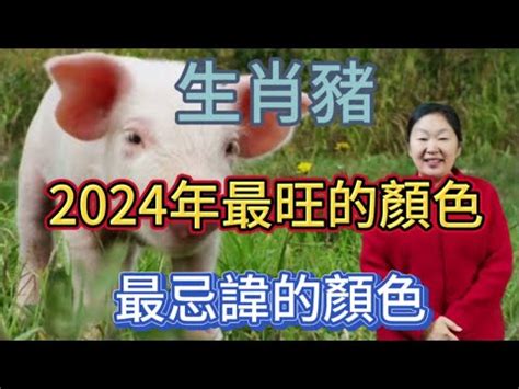 屬豬適合什麼顏色|【屬豬適合的顏色】屬豬必看！2024開運指南，適合的顏色大公。